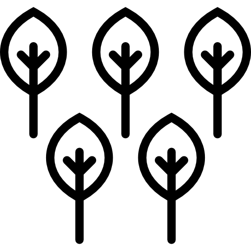 trees.webp