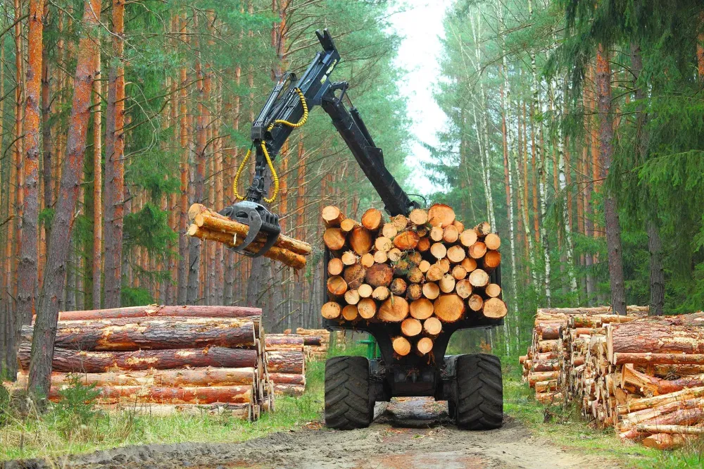 Bois de chauffage à Semondans
